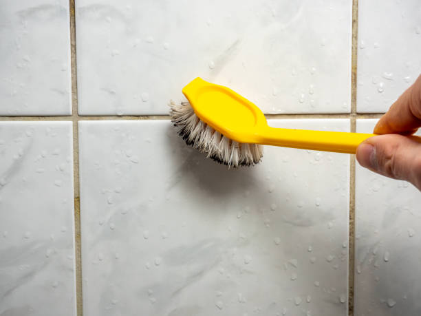 Best Mold Removal Near Me  in Thousand Palms, CA