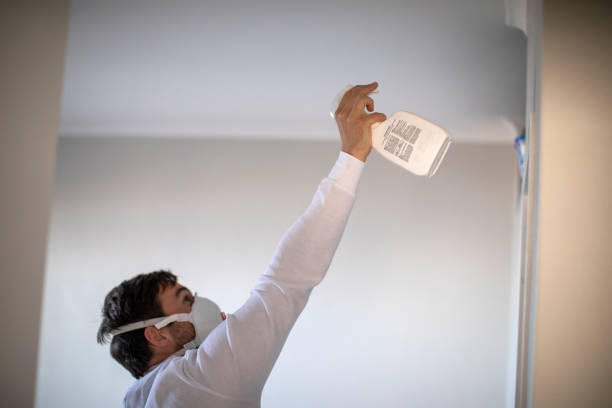 Best Home Mold Removal  in Thousand Palms, CA