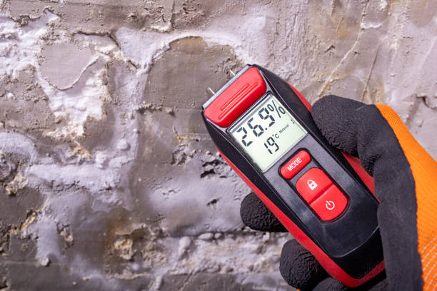 Best Emergency Mold Removal  in Thousand Palms, CA
