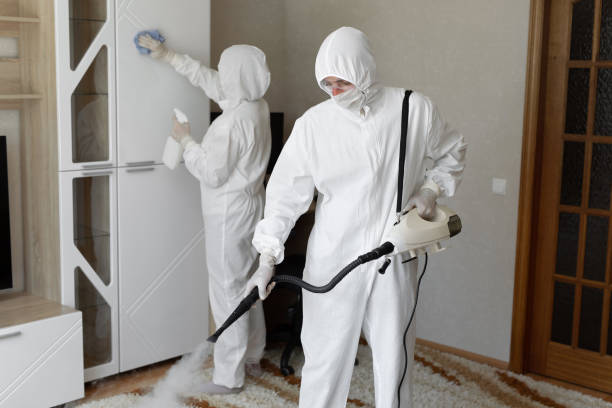 Mold Removal Process in Thousand Palms, CA
