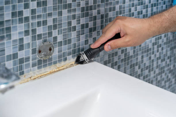 Best Mold Cleaning Services  in Thousand Palms, CA