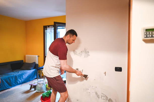 Best Affordable Mold Removal  in Thousand Palms, CA