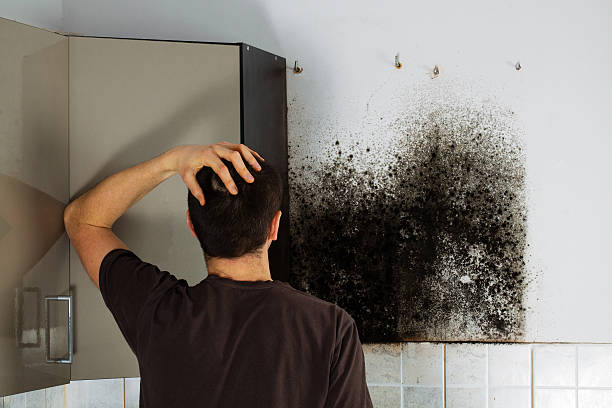 Best Mold Testing  in Thousand Palms, CA
