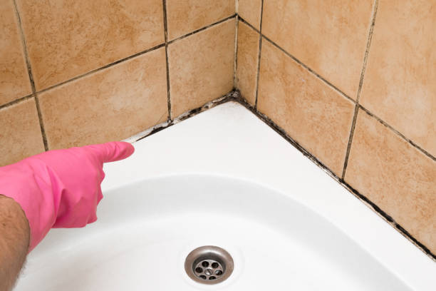 Best Residential Mold Removal  in Thousand Palms, CA